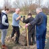 2018 Storchennest(auf)bau in Ausbuettel und Ribbesbuettel 030